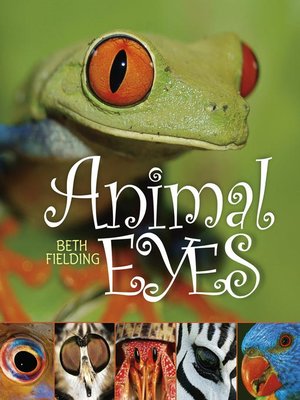 Animal Eyes - ebook